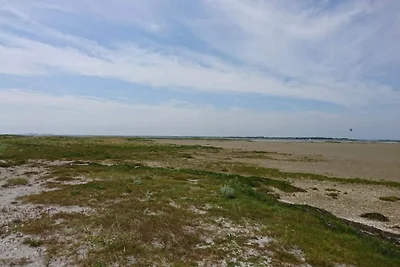 4 Personen Ferienhaus in Hals