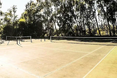 Die Hהuser auf Restanques von St. Tropez