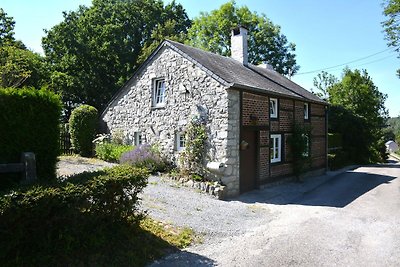 Ferienhaus in Han-sur-Lesse in Waldnähe