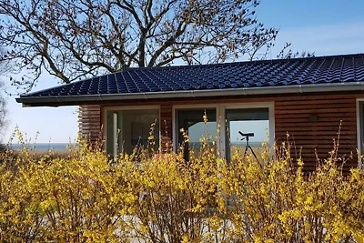 Ferienhaus mit 1 Schlafzimmer