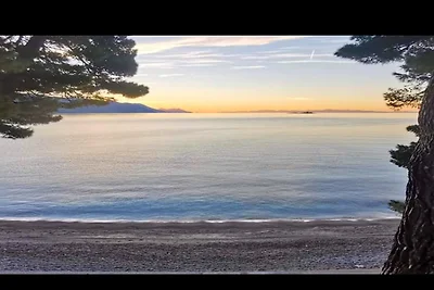 Apartments Clementina Sunrise-Standard Studio...