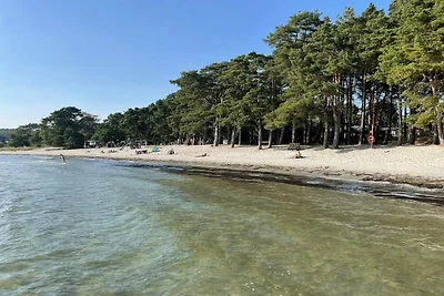 4 sterren vakantie huis in SÖLVESBORG