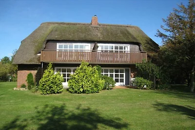 Objekt 13 || Nieblum