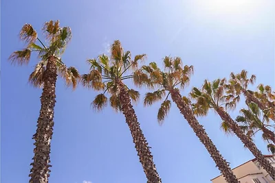 apartman za odmor Obiteljski odmor Cap d'Agde