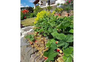 Vakantiehuis Ontspannende vakantie Montabaur
