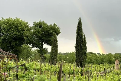 Fornace del Conte - Vigneto