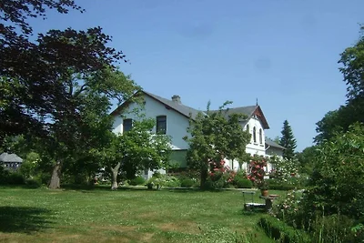 Familie Schmidt - melkstal