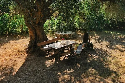 Maison de vacances à Aregno avec piscine