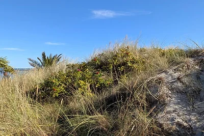 6 persoons vakantie huis in Frederikshavn-By...