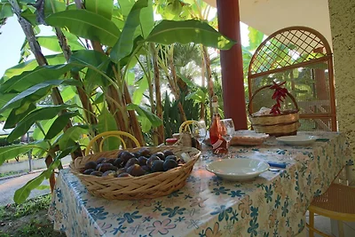 Residence op 8 km afstand van Tropea, zwembad...