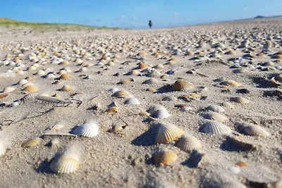 6 Personen Ferienhaus in Rømø