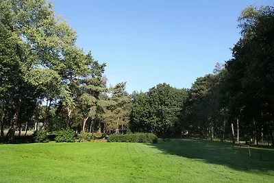 In prossimitá (estate) (<1 km) In prossimitá (estate) (<1 km)