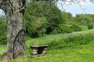 Vakantiehuis Ontspannende vakantie Prichsenstadt