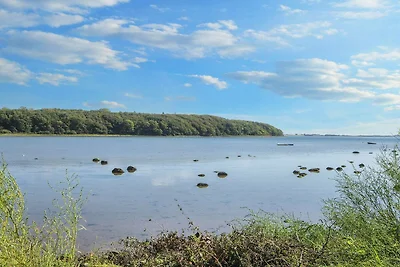 4 Sterne Ferienhaus in Rønde-By Traum