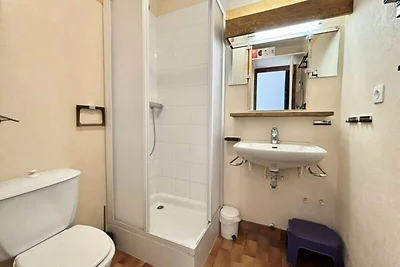 Wohnung in Praz-sur-Arly an den Skipisten