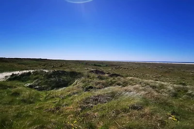 6 persone case ad Fanø-By Traum