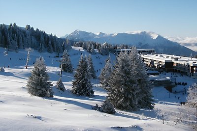 Wohnung in der Nähe des Skigebietes