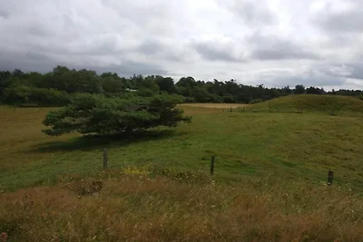 8 Personen Ferienhaus in Melby