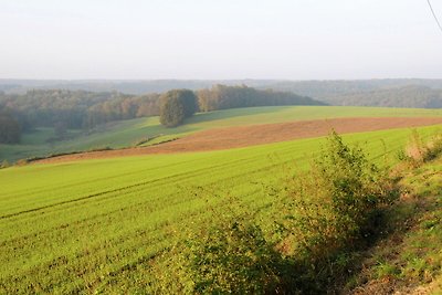 Gemütliches Cottage in Chiny mit Kamin