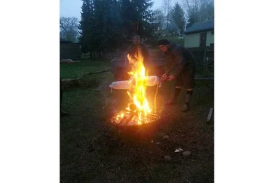 5 en la casa Traumweide