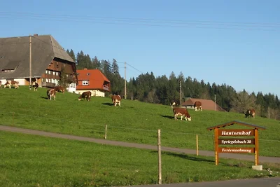 Ferienwohnung mit 1 Schlafzimmer