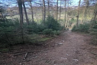 Nella regione (estate) (>5 km) Nella regione (estate) (>5 km)