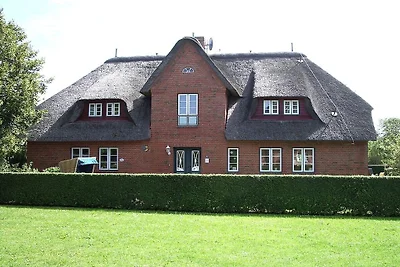 Vakantiehuis Ontspannende vakantie Borgsum