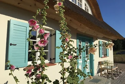 Ferienhaus mit 3 Schlafzimmer