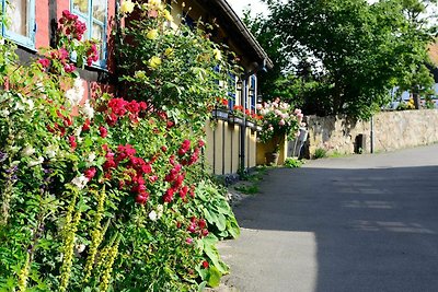 Ferienhaus Erholungsurlaub Allinge-Sandvig