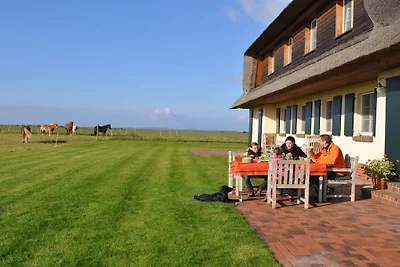 Rügen-Ferienhof
