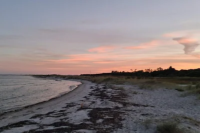 Ferienhaus Erholungsurlaub Bjert