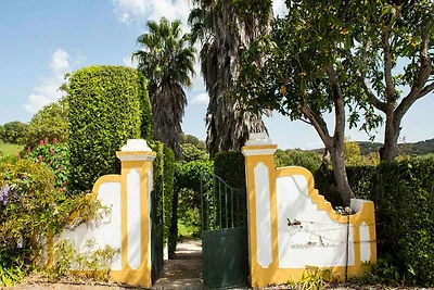 Casale in campagna a Montemor-o-Novo con...