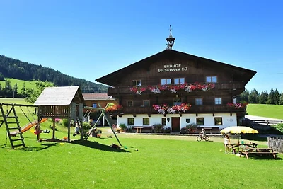 Achrainer-Moosen