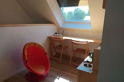 Nieuw huis aan de rand van een groot bos, gro...