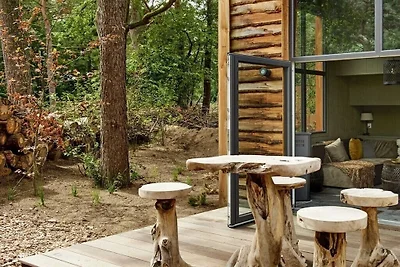 Ferienhaus in Otterlo mit Terrasse