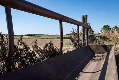 Duplexverblijf op de Alfonsine-boerderij