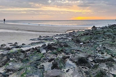 Ferienwohnung in Westerland