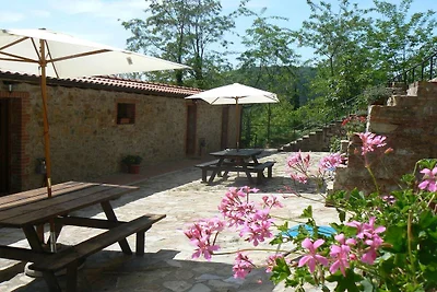 Wohnung in Massa Marittima mit Pool