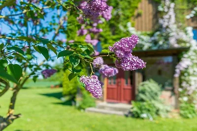 Rosenhagen in der Gutsscheune Thorstorf