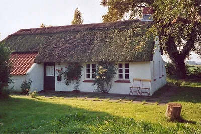 Ferienhaus mit 2 Schlafzimmer