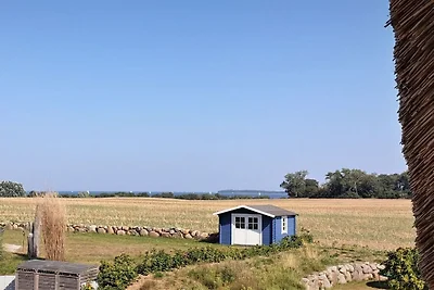 Maison au toit de chaume « MOOI »