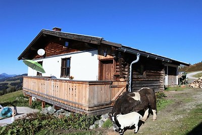 Alpenhut direct in het skigebied Kitzbühel