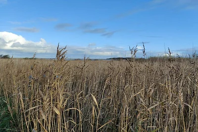 8 Personen Ferienhaus in Lemvig-By Traum