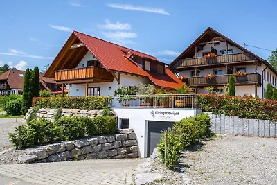 Geiger - Säntisblick
