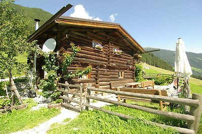 Quaint Mountain Hut in Hippach with Garden an...