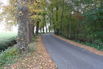 8 Personen Ferienhaus in Øster Assels-By...