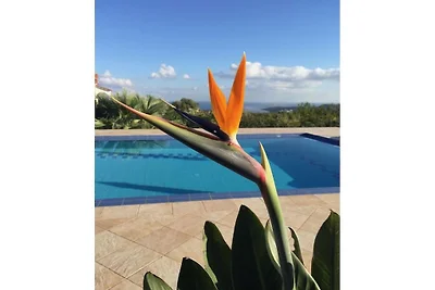 Casa vacanze a Creta con piscina