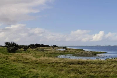 5 Sterne Ferienhaus in Lemvig-By Traum