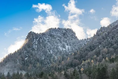 Hütte in Ruhpolding mit Schwimmbecken