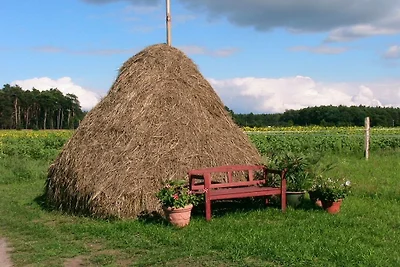 Stein - Wohnung Storchenblick